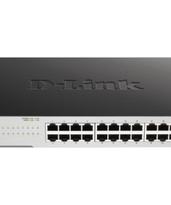 DGS-F1024