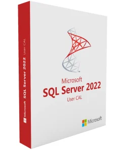 Microsoft SQL Server 2022 1 User CAL