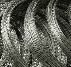 RAZOR WIRES qcabis