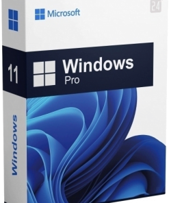 Win 11 Pro 64Bit Eng Intl 1pk DSP OEI DVD