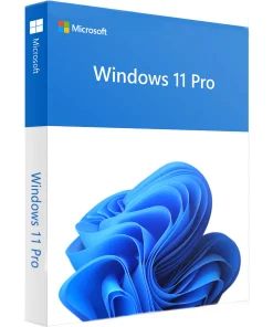 Windows 11 Pro 64 Bit