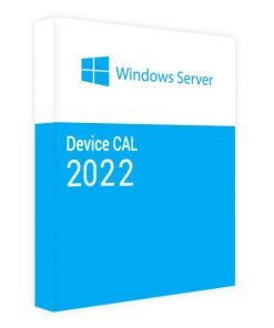 Windows Server 2022 CAL 1 Device 1 year