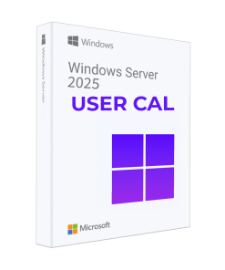 Windows Server 2022 CAL 1 User CAL 1 year