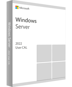 Windows Server 2022 RMS CAL 1 User CAL 1 year